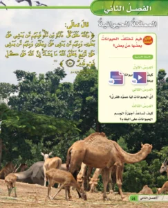 حل كتاب العلوم الصف الرابع الفصل الاول المملكة الحيوانية